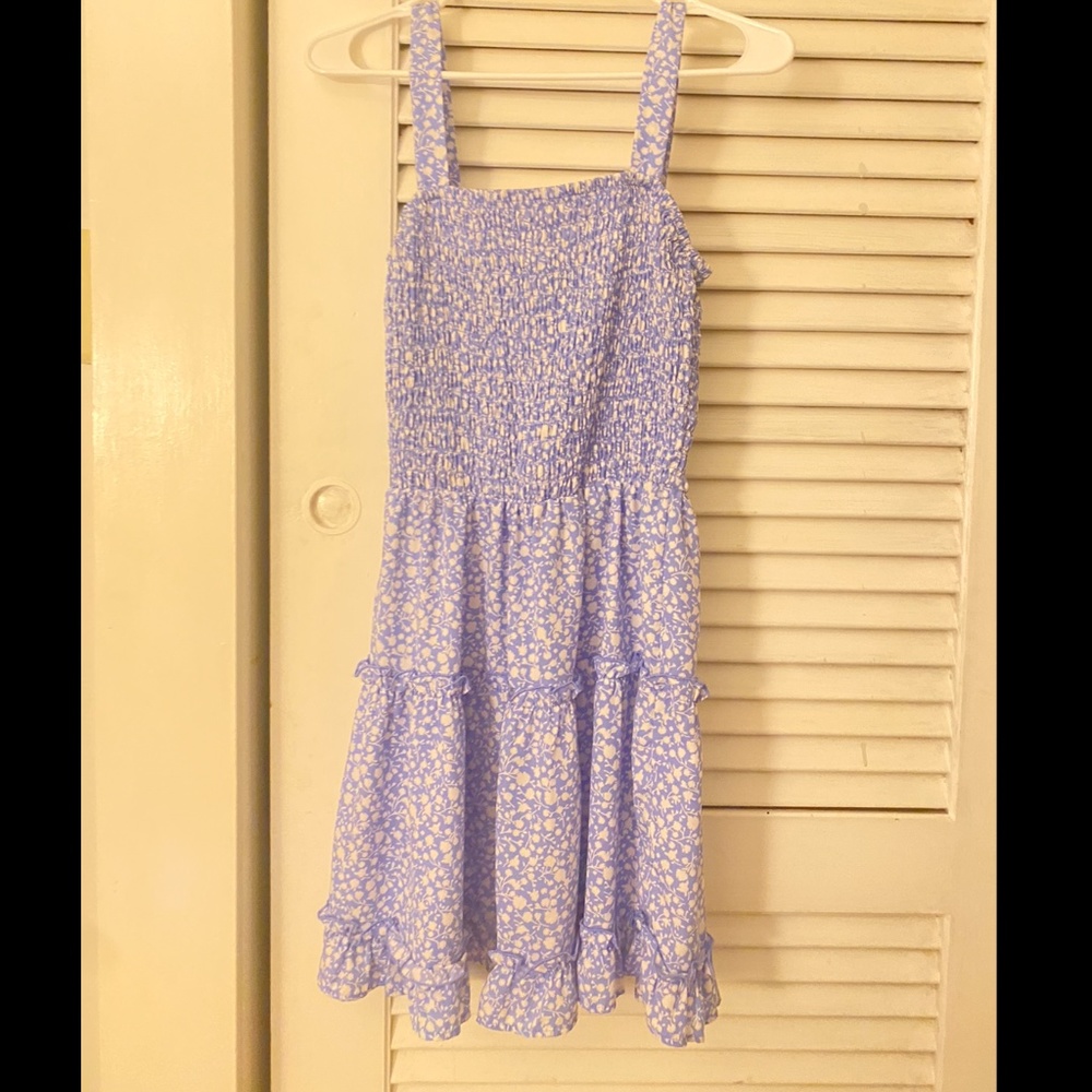 Blue Floral Spring Summer Dress (Size Medium)